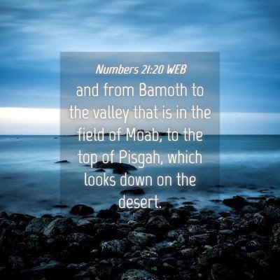 Picture 04 - Numbers 21:20 WEB - and from Bamoth to the valley that is in the - Bible Verse Picture