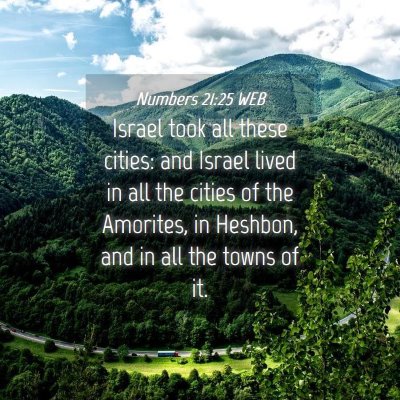 Picture 04 - Numbers 21:25 WEB - Israel took all these cities: and Israel lived in - Bible Verse Picture
