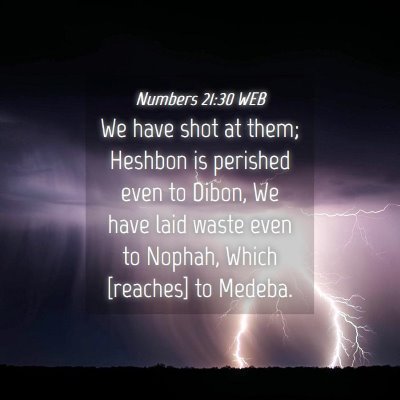 Picture 04 - Numbers 21:30 WEB - We have shot at them; Heshbon is perished even to - Bible Verse Picture