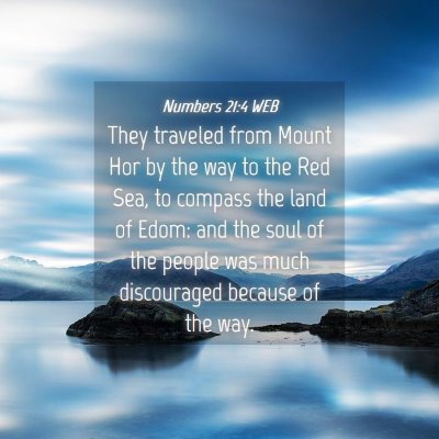 Picture 04 - Numbers 21:4 WEB - They traveled from Mount Hor by the way to the - Bible Verse Picture