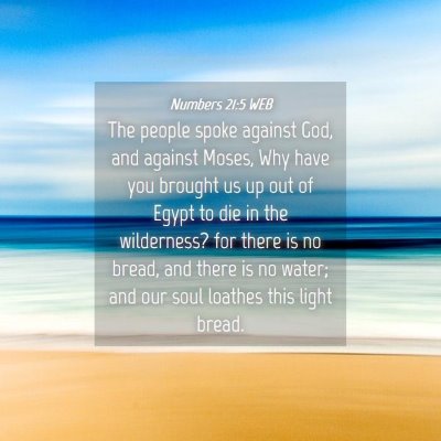 Picture 04 - Numbers 21:5 WEB - The people spoke against God, and against Moses, - Bible Verse Picture