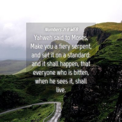 Picture 04 - Numbers 21:8 WEB - Yahweh said to Moses, Make you a fiery serpent, - Bible Verse Picture
