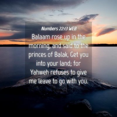Picture 04 - Numbers 22:13 WEB - Balaam rose up in the morning, and said to the - Bible Verse Picture