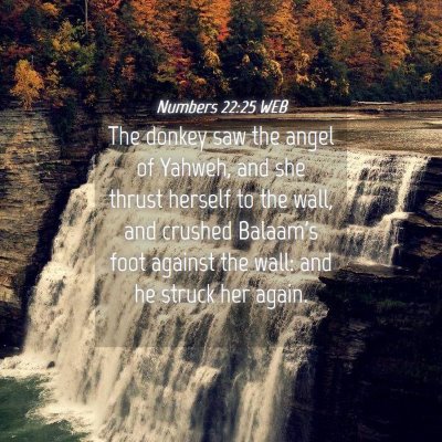 Picture 04 - Numbers 22:25 WEB - The donkey saw the angel of Yahweh, and she - Bible Verse Picture