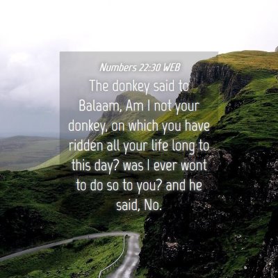 Picture 04 - Numbers 22:30 WEB - The donkey said to Balaam, Am I not your donkey, - Bible Verse Picture