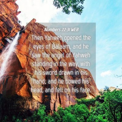 Picture 04 - Numbers 22:31 WEB - Then Yahweh opened the eyes of Balaam, and he saw - Bible Verse Picture