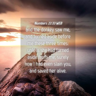 Picture 04 - Numbers 22:33 WEB - and the donkey saw me, and turned aside before me - Bible Verse Picture