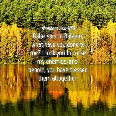 Picture 04 - Numbers 23:11 WEB - Balak said to Balaam, What have you done to me? I - Bible Verse Picture