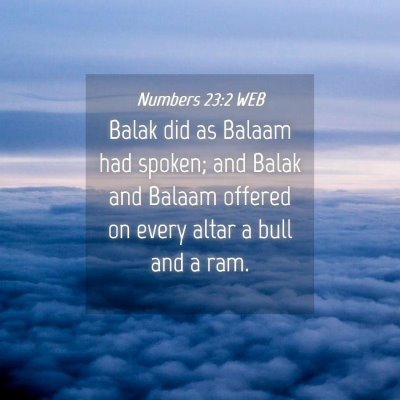 Picture 04 - Numbers 23:2 WEB - Balak did as Balaam had spoken; and Balak and - Bible Verse Picture