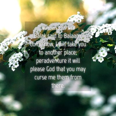 Picture 04 - Numbers 23:27 WEB - Balak said to Balaam, Come now, I will take you - Bible Verse Picture