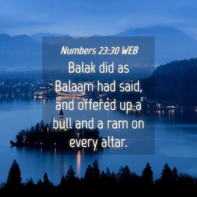 Picture 04 - Numbers 23:30 WEB - Balak did as Balaam had said, and offered up a - Bible Verse Picture