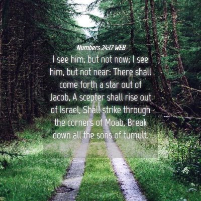 Picture 04 - Numbers 24:17 WEB - I see him, but not now; I see him, but not near: - Bible Verse Picture