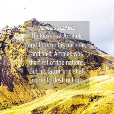 Picture 04 - Numbers 24:20 WEB - He looked at Amalek, and took up his parable, and - Bible Verse Picture