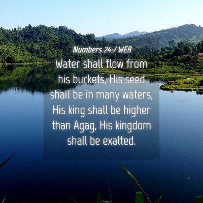 Picture 04 - Numbers 24:7 WEB - Water shall flow from his buckets, His seed shall - Bible Verse Picture