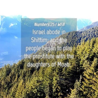 Picture 04 - Numbers 25:1 WEB - Israel abode in Shittim; and the people began to - Bible Verse Picture