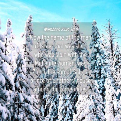 Picture 04 - Numbers 25:14 WEB - Now the name of the man of Israel that was slain, - Bible Verse Picture