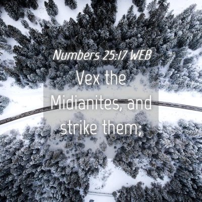 Picture 04 - Numbers 25:17 WEB - Vex the Midianites, and strike - Bible Verse Picture