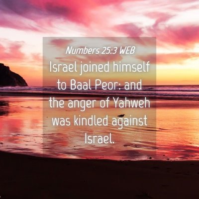 Picture 04 - Numbers 25:3 WEB - Israel joined himself to Baal Peor: and the anger - Bible Verse Picture