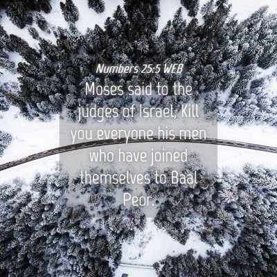 Picture 04 - Numbers 25:5 WEB - Moses said to the judges of Israel, Kill you - Bible Verse Picture
