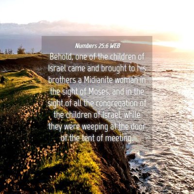 Picture 04 - Numbers 25:6 WEB - Behold, one of the children of Israel came and - Bible Verse Picture