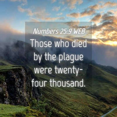 Picture 04 - Numbers 25:9 WEB - Those who died by the plague were twenty-four - Bible Verse Picture