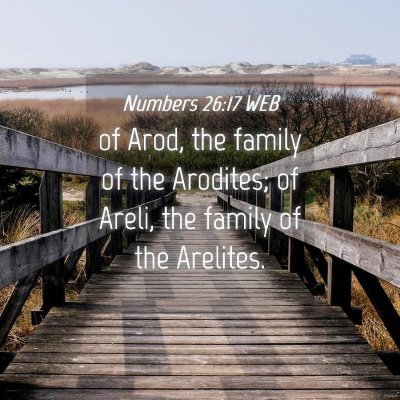 Picture 04 - Numbers 26:17 WEB - of Arod, the family of the Arodites; of Areli, - Bible Verse Picture