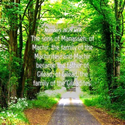 Picture 04 - Numbers 26:29 WEB - The sons of Manasseh: of Machir, the family of - Bible Verse Picture