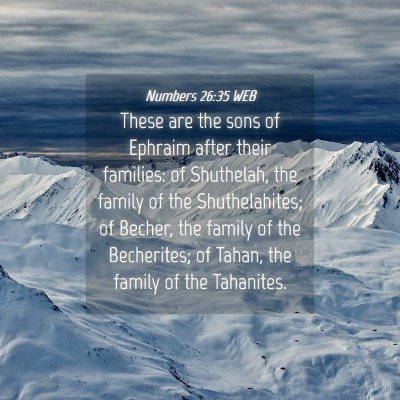 Picture 04 - Numbers 26:35 WEB - These are the sons of Ephraim after their - Bible Verse Picture