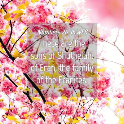 Picture 04 - Numbers 26:36 WEB - These are the sons of Shuthelah: of Eran, the - Bible Verse Picture