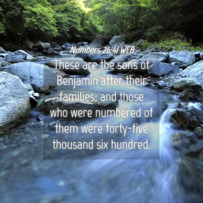 Picture 04 - Numbers 26:41 WEB - These are the sons of Benjamin after their - Bible Verse Picture
