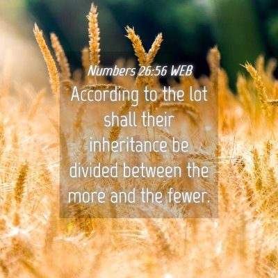 Picture 04 - Numbers 26:56 WEB - According to the lot shall their inheritance be - Bible Verse Picture