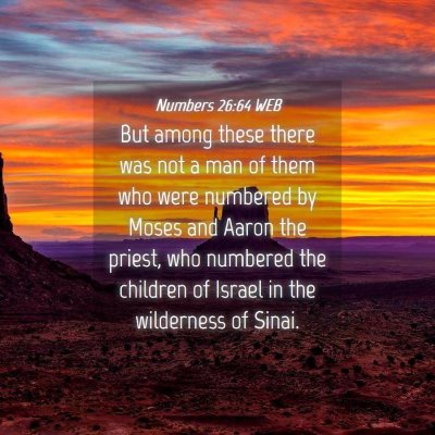Picture 04 - Numbers 26:64 WEB - But among these there was not a man of them who - Bible Verse Picture