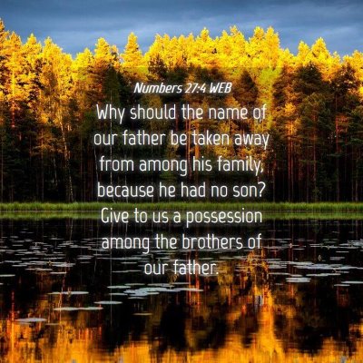 Picture 04 - Numbers 27:4 WEB - Why should the name of our father be taken away - Bible Verse Picture