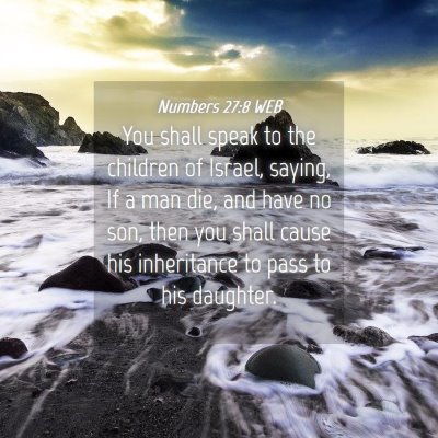 Picture 04 - Numbers 27:8 WEB - You shall speak to the children of Israel, - Bible Verse Picture