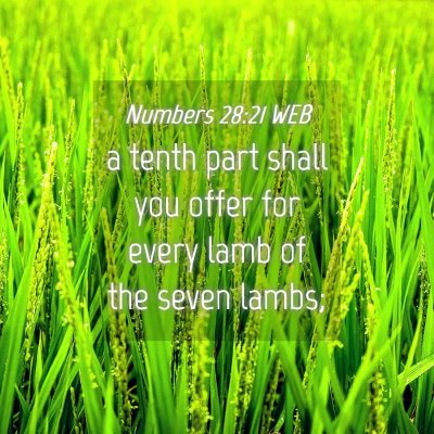 Picture 04 - Numbers 28:21 WEB - a tenth part shall you offer for every lamb of - Bible Verse Picture