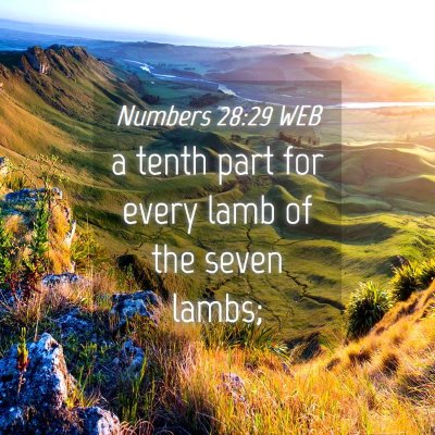 Picture 04 - Numbers 28:29 WEB - a tenth part for every lamb of the seven - Bible Verse Picture