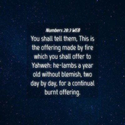 Picture 04 - Numbers 28:3 WEB - You shall tell them, This is the offering made by - Bible Verse Picture