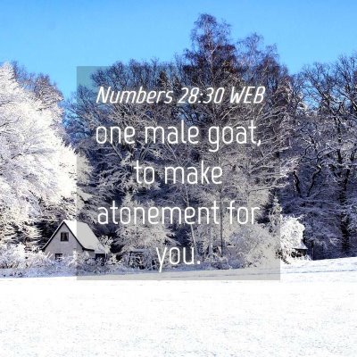 Picture 04 - Numbers 28:30 WEB - one male goat, to make atonement for - Bible Verse Picture