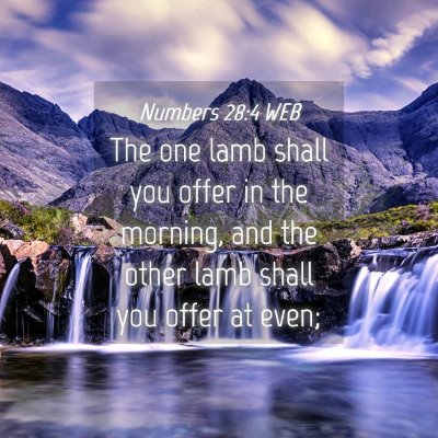 Picture 04 - Numbers 28:4 WEB - The one lamb shall you offer in the morning, and - Bible Verse Picture