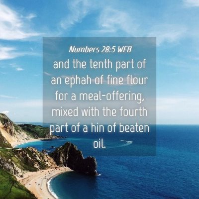 Picture 04 - Numbers 28:5 WEB - and the tenth part of an ephah of fine flour for - Bible Verse Picture