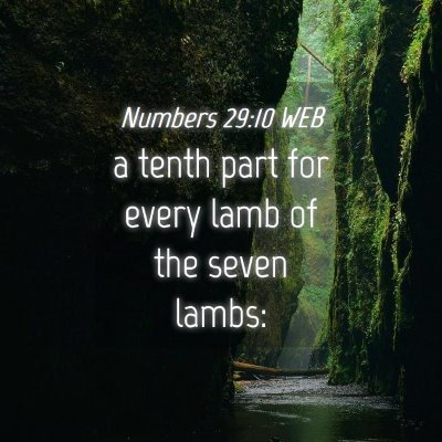 Picture 04 - Numbers 29:10 WEB - a tenth part for every lamb of the seven - Bible Verse Picture
