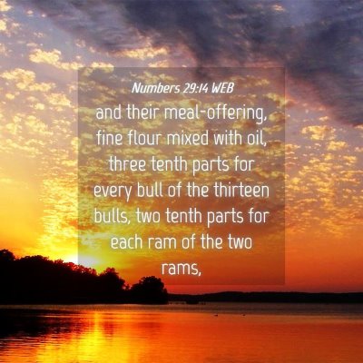 Picture 04 - Numbers 29:14 WEB - and their meal-offering, fine flour mixed with - Bible Verse Picture