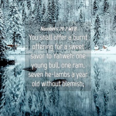 Picture 04 - Numbers 29:2 WEB - You shall offer a burnt offering for a sweet - Bible Verse Picture