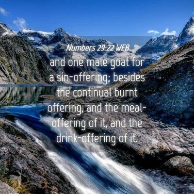 Picture 04 - Numbers 29:22 WEB - and one male goat for a sin-offering; besides the - Bible Verse Picture