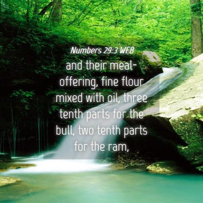 Picture 04 - Numbers 29:3 WEB - and their meal-offering, fine flour mixed with - Bible Verse Picture