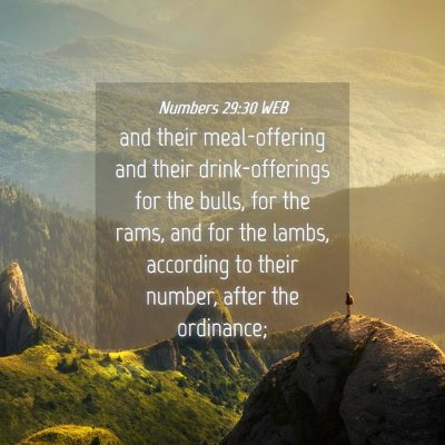 Picture 04 - Numbers 29:30 WEB - and their meal-offering and their drink-offerings - Bible Verse Picture