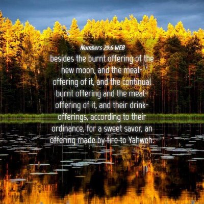 Picture 04 - Numbers 29:6 WEB - besides the burnt offering of the new moon, and - Bible Verse Picture