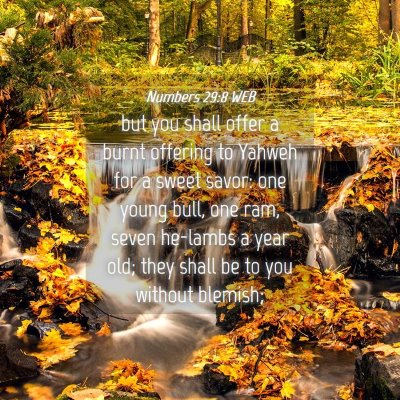 Picture 04 - Numbers 29:8 WEB - but you shall offer a burnt offering to Yahweh - Bible Verse Picture
