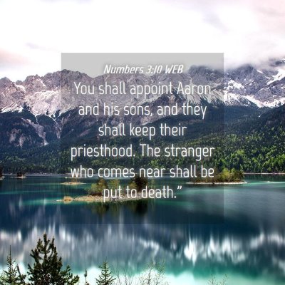 Picture 04 - Numbers 3:10 WEB - You shall appoint Aaron and his sons, and they - Bible Verse Picture