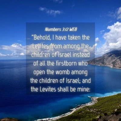 Picture 04 - Numbers 3:12 WEB - 